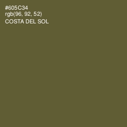 #605C34 - Costa Del Sol Color Image